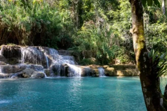 Les cascades de Kuang Si au Laos, leurs vasques turquoise étagées sous la végétation tropicale