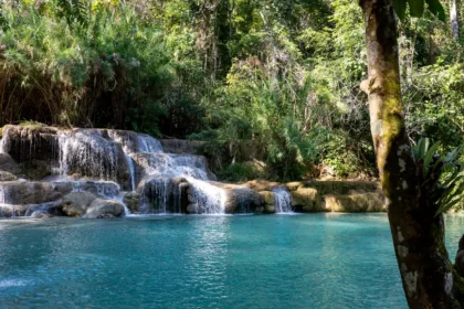 Les cascades de Kuang Si au Laos, leurs vasques turquoise étagées sous la végétation tropicale