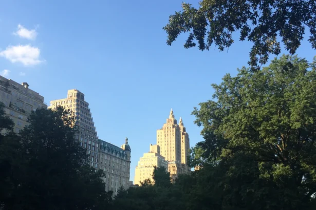 Les arbres de Central Park au printemps, avec les façades des immeubles de Central Park West au-dessus de la cime