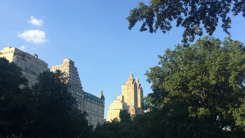 Les arbres de Central Park au printemps, avec les façades des immeubles de Central Park West au-dessus de la cime