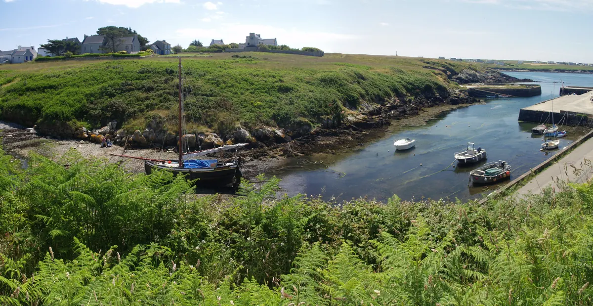 Île d'Ouessant : le guide complet pour visiter la Bretagne la plus sauvage 3 Un petit port abrité d'Ouessant, ses bateaux au mouillage entre des berges couvertes de fougères