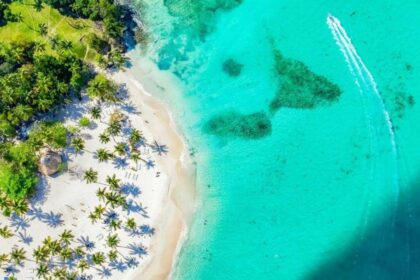 Vue aérienne d'une plage de sable blanc bordée de cocotiers et d'une eau turquoise, dans la région de Samaná