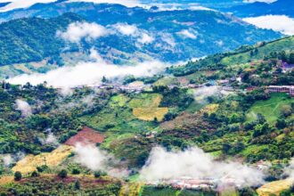 Collines verdoyantes noyées dans la brume matinale dans la province de Chiang Rai