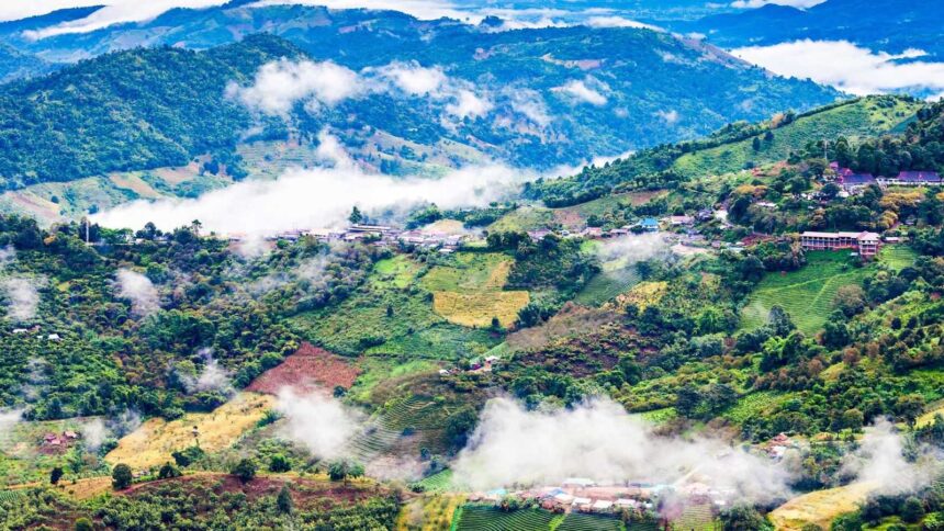 Collines verdoyantes noyées dans la brume matinale dans la province de Chiang Rai