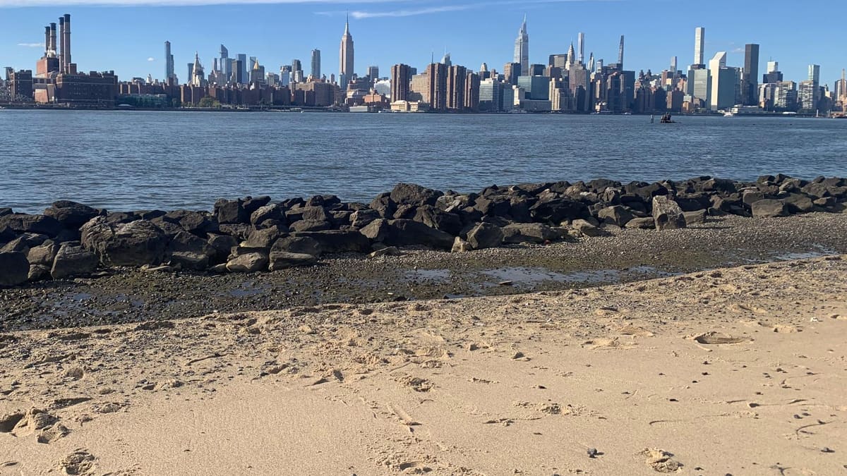 Visite guidée de Brooklyn en français : Bushwick, Williamsburg et Dumbo 4 La rive de Williamsburg à Brooklyn, plage de sable et enrochements face à Manhattan