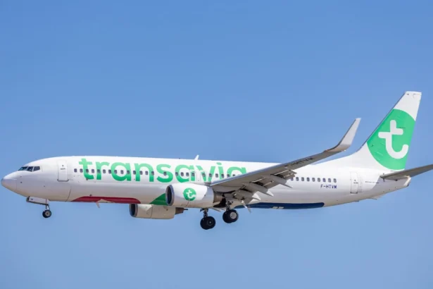 Boeing 737-800 aux couleurs blanc et vert de Transavia, immatriculé F-HTVM, en approche dans un ciel bleu, train d'atterrissage sorti