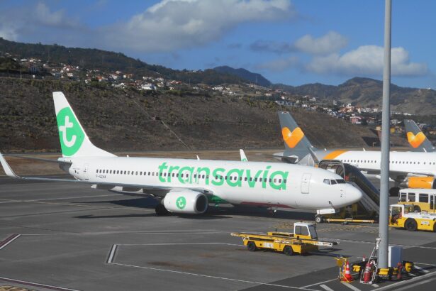 Boeing 737-800 de Transavia France au sol